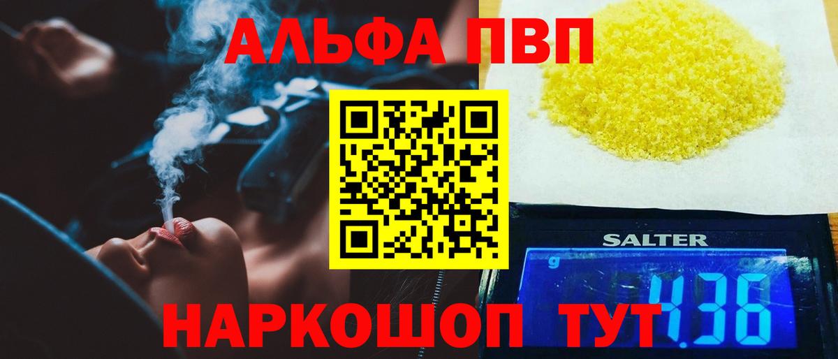 A PVP СК Светлоград