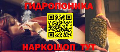 прущие крисы Севастополь